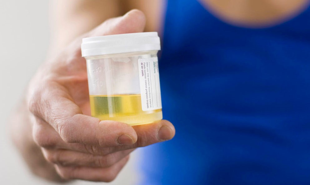 Upass Synthetic Urine Concord Estates Stafford VA